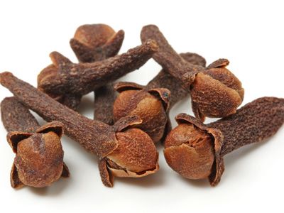 Clove_ Folklore, Healing, Magical Properties & More