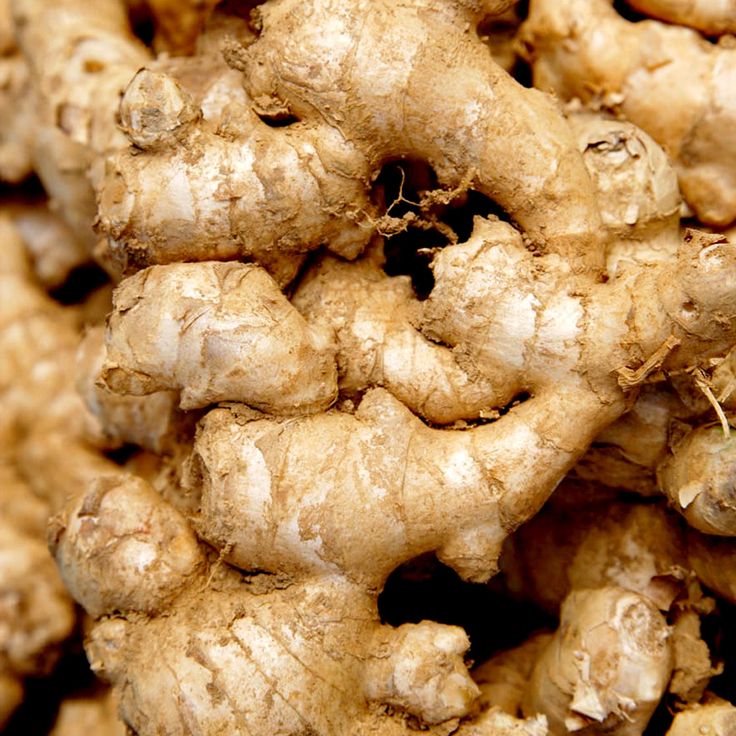 Fresh Organic Ginger-multiple benefits – spices